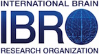 IBRO